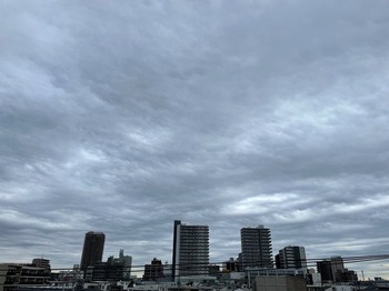 IMG_0001-b0116.jpeg