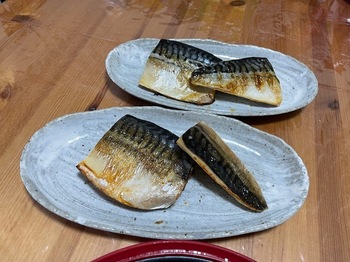 IMG_0131.jpeg