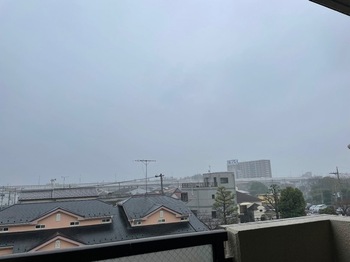 IMG_0147-1d308.jpeg