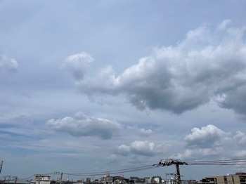 IMG_0159-b09b0.jpeg