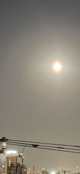 IMG_0188.png