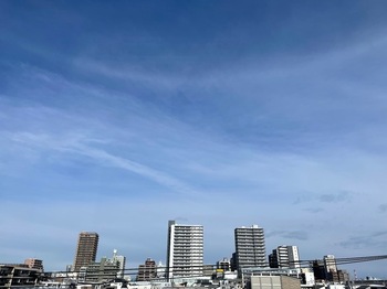 IMG_0230.jpeg