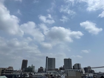 IMG_0412.jpeg