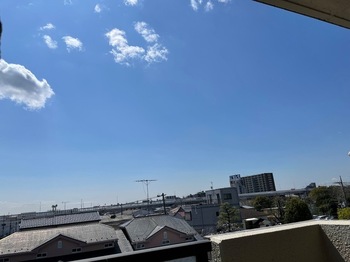 IMG_0542.jpeg