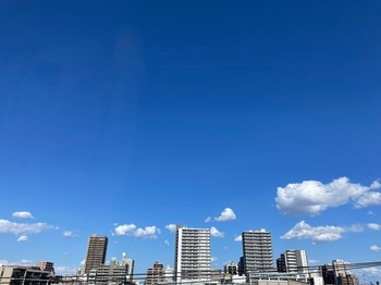 IMG_0549.jpeg
