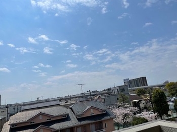 IMG_0658.jpeg