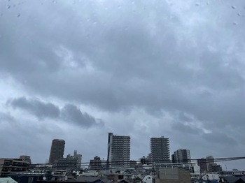 IMG_0719.jpeg