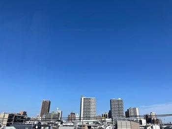 IMG_0732.jpeg