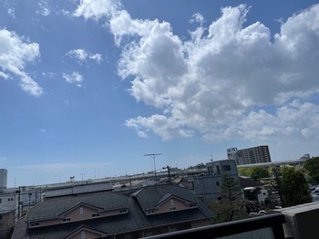 IMG_0738.jpeg