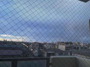 IMG_0758.jpeg
