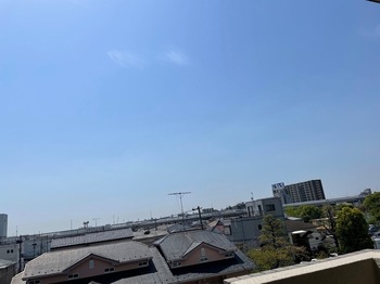IMG_0779.jpeg