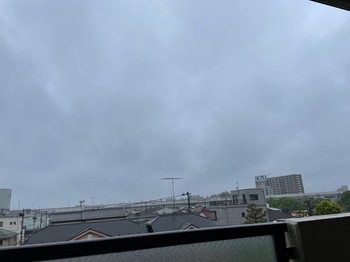IMG_0871.jpeg