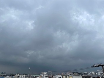 IMG_0893.jpeg