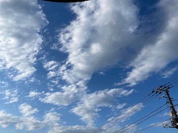 IMG_0944.jpeg