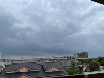 IMG_1156.jpeg