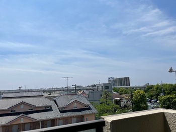 IMG_1164.jpeg