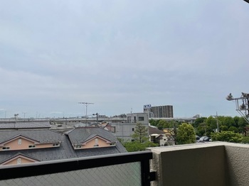 IMG_1175.jpeg
