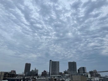 IMG_1204.jpeg