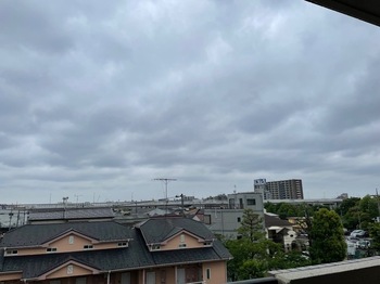 IMG_1207-6636a.jpeg