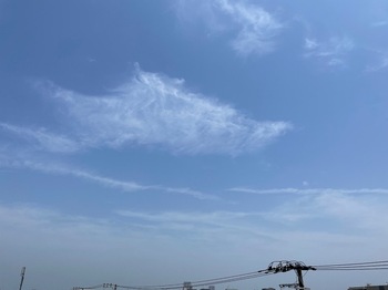 IMG_1237.jpeg