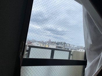 IMG_1294.jpeg