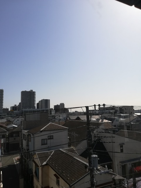 IMG_20210317_094540.jpg