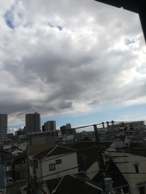 IMG_20211011_095153.jpg