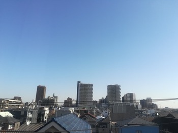 IMG_20231124_102247.jpg