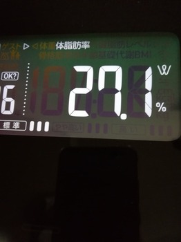 IMG_20231202_115024.jpg