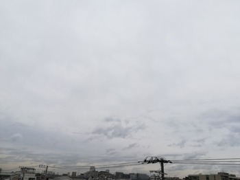 IMG_20231205_101544.jpg