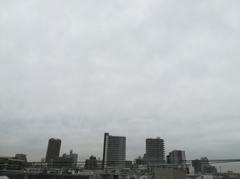IMG_20231205_141412.jpg