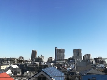 IMG_20231208_103419.jpg