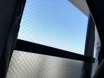 IMG_20231210_105709.jpg