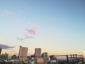 IMG_20231221_162933.jpg