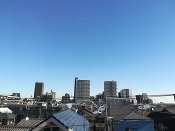 IMG_20231222_104715.jpg