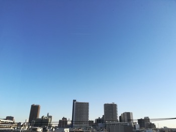 IMG_20231225_102505.jpg