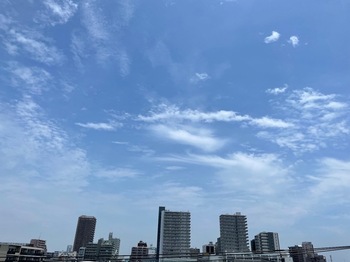 IMG_4751.jpeg