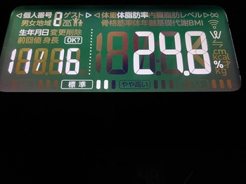 IMG_6261-ae391.jpeg