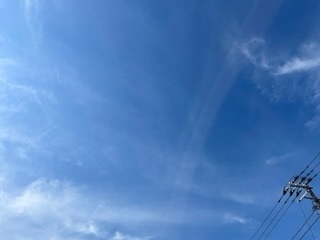 IMG_7834.jpeg