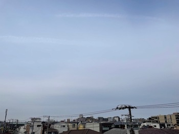 IMG_9513-3e315.jpeg