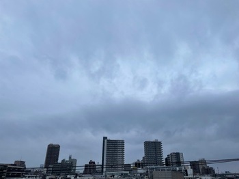 IMG_9519-7fdac.jpeg