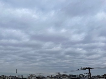 IMG_9521-47dbd.jpeg