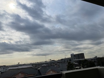 IMG_9650.jpeg