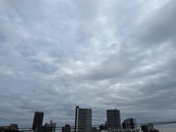 IMG_9655.jpeg