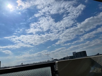 IMG_9732.jpeg