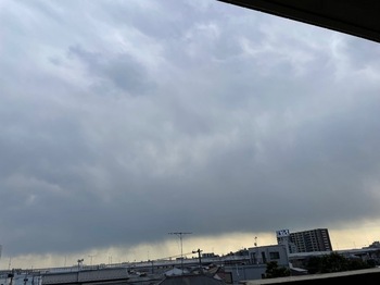 IMG_9734-10dc0.jpeg