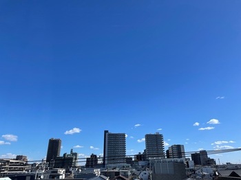 IMG_9743.jpeg