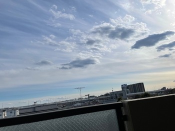 IMG_9793.jpeg