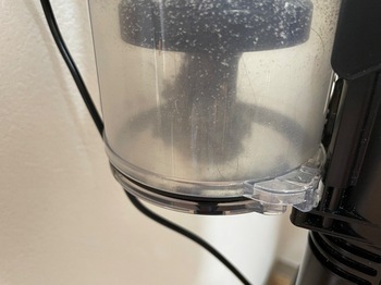 IMG_9873.jpeg