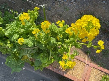 IMG_9903.jpeg